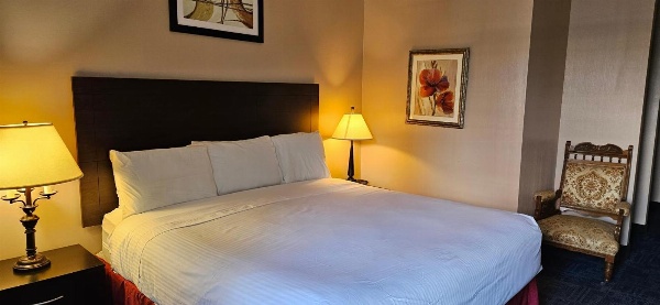 Bellis Inn image 1