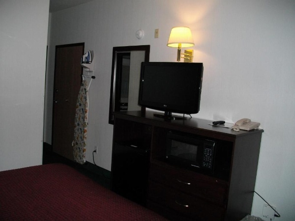 Bellis Inn image 14