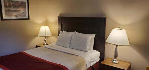 Bellis Inn image 15