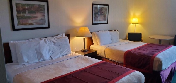 Bellis Inn image 16