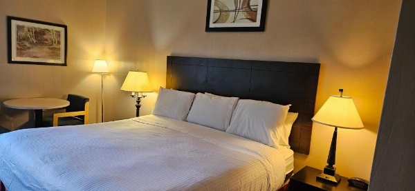 Bellis Inn image 18