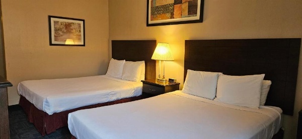 Bellis Inn image 19