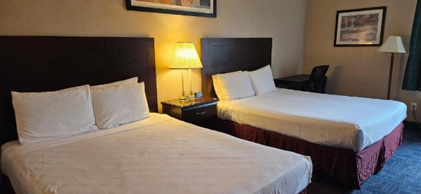 Bellis Inn image 20