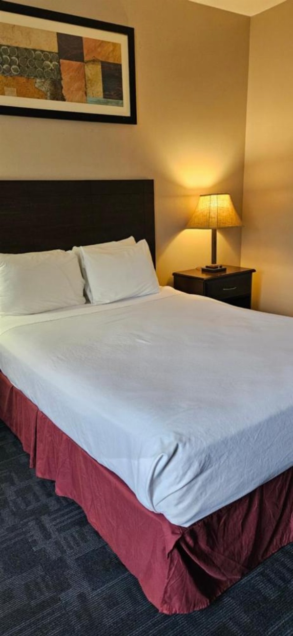 Bellis Inn image 22