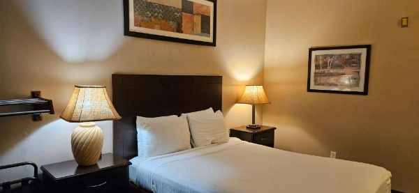 Bellis Inn image 24