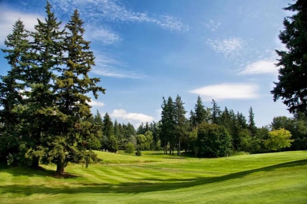 Bellis Inn image 25