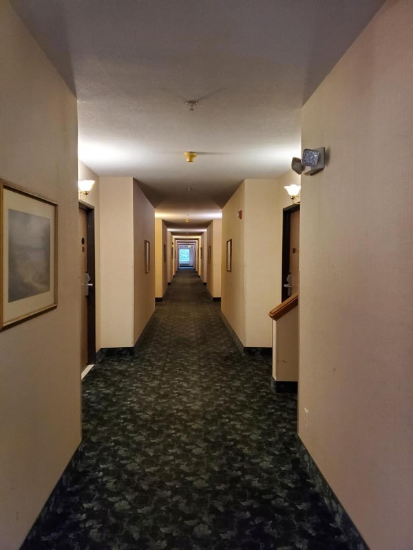 Bellis Inn image 6